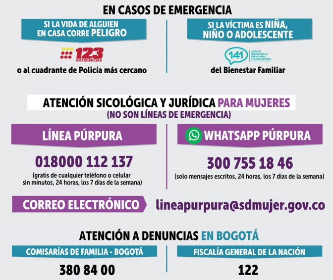 EnCasodeViolencia.jpg