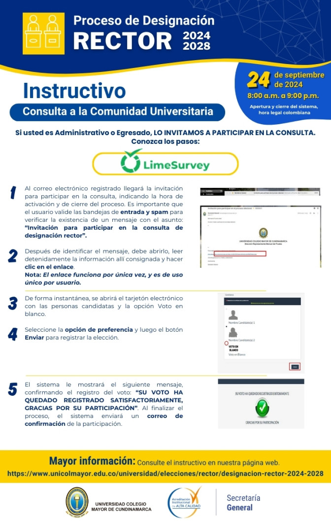 Instructivo-Consulta-LimeSurvey-v24.jpg