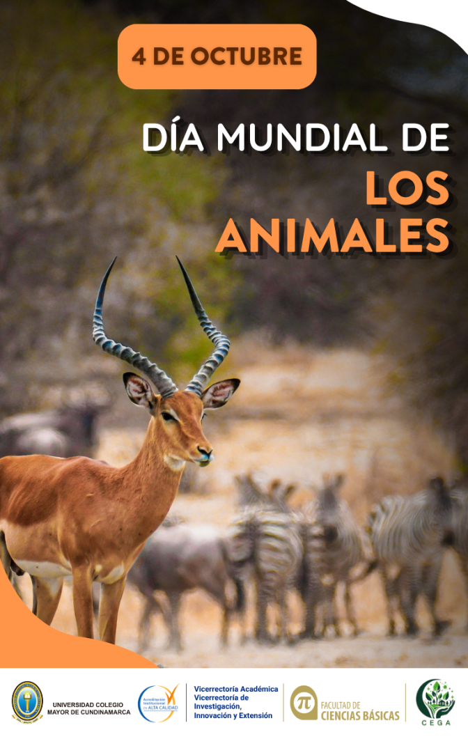 octubre-4-animales.png