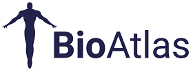 BioAtlas.png