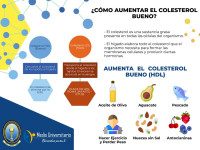 ComoAumentarelColesterolbueno.jpg ComoAumentarelColesterolbueno.jpg