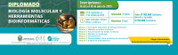 Diplomado-BIOLOGIA-MOLECULAR-Y-HERRAMIENTAS-BIOINFORMATICAS-BN-2.jpg Diplomado-BIOLOGIA-MOLECULAR-Y-HERRAMIENTAS-BIOINFORMATICAS-BN-2.jpg